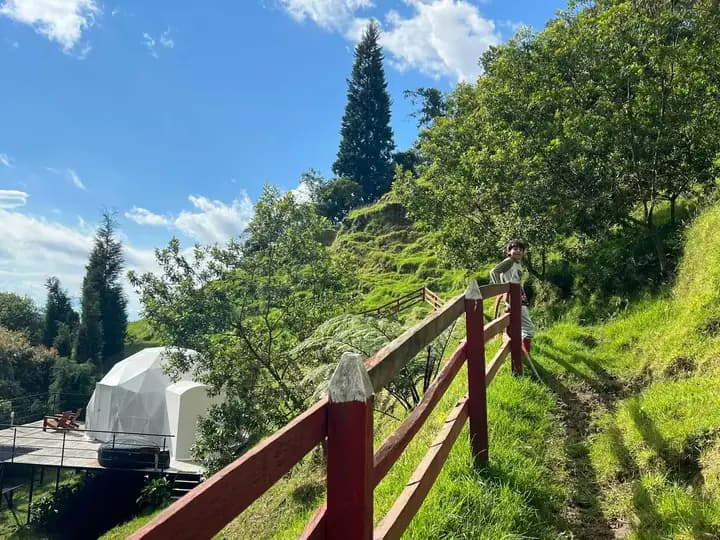 Interior domo glamping