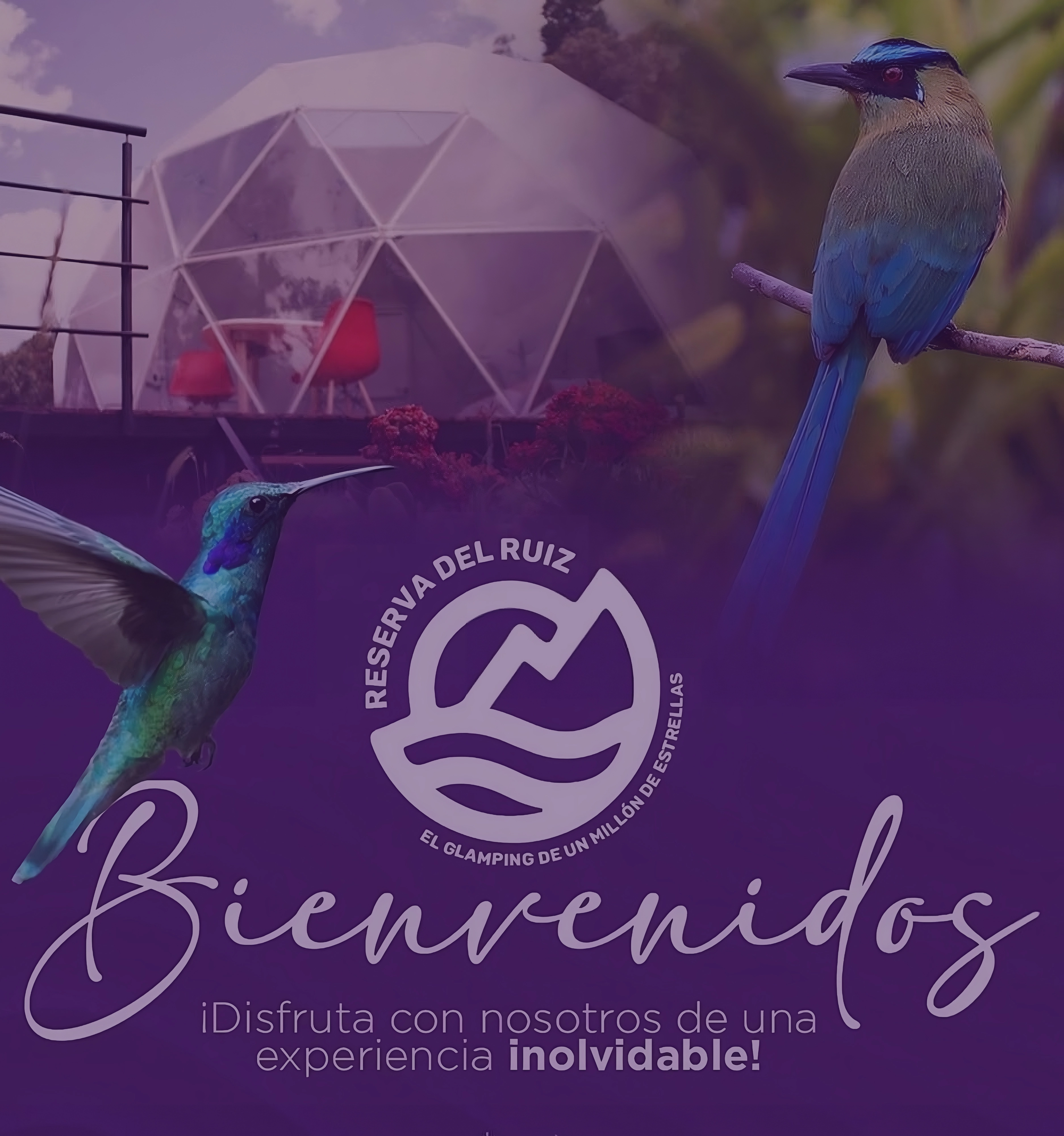 Bienvenida Glamping Reserva del Ruiz