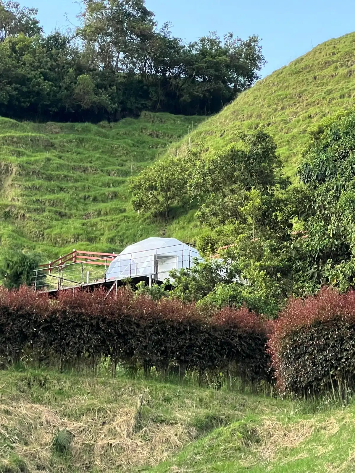 Domo exterior Glamping Reserva del Ruiz